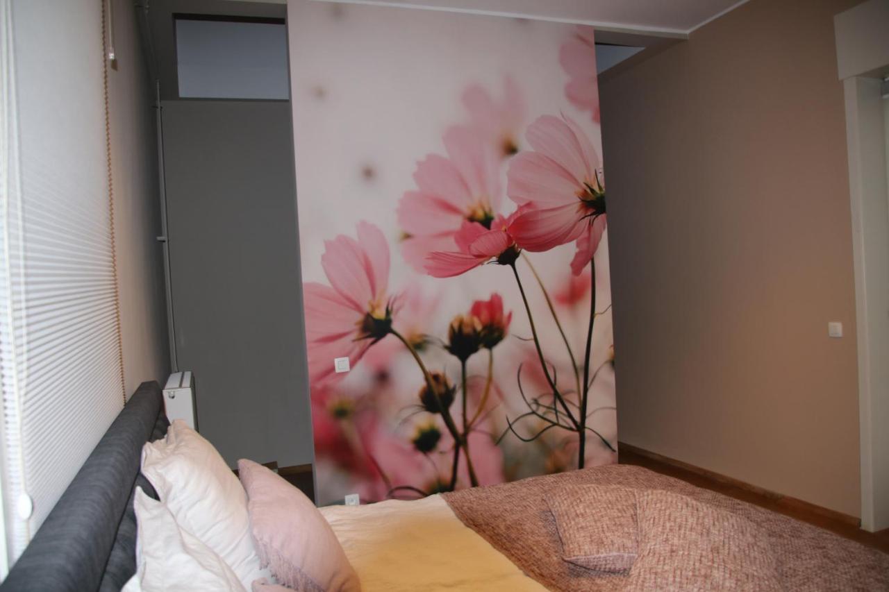 B&B Het Doctershoes Kinrooi Kültér fotó