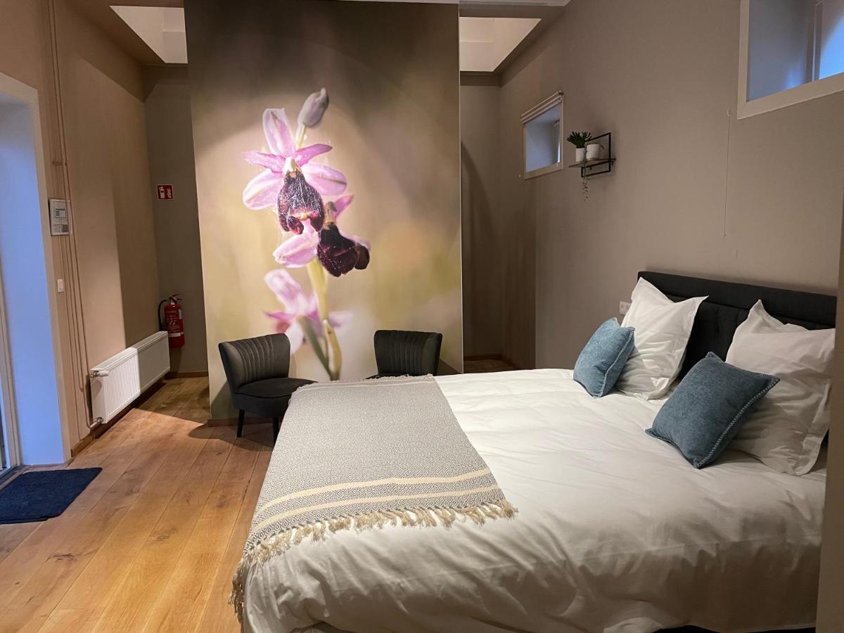 B&B Het Doctershoes Kinrooi Kültér fotó